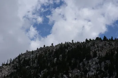 DSC_3130 (Large).JPG